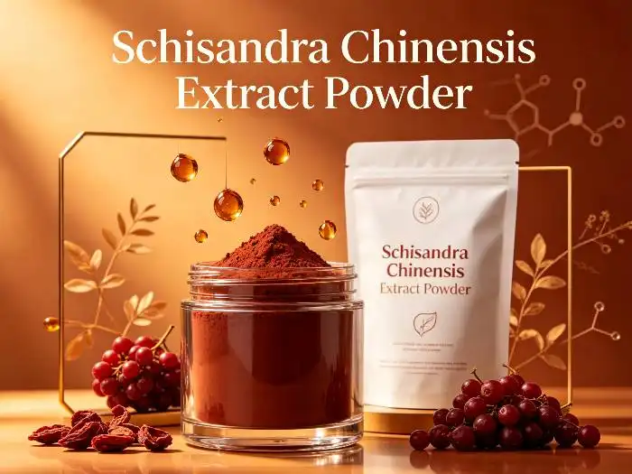 Schisandra Chinensis Extract: A Natural Botanical Ingredient for Modern Formulations